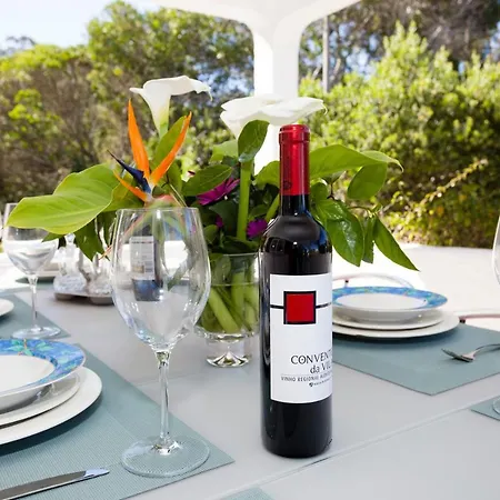 Villa Tara, Heated Private Pool, Short Walk To To Town & Carvoeiro (Lagoa)